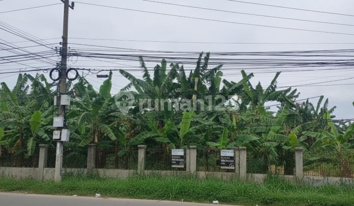 Tanah Ciangsana Pinggir Jalan Raya, Akses Transyogi Tanah Ciangsana Pinggir Jalan Raya, Akses Transyogi