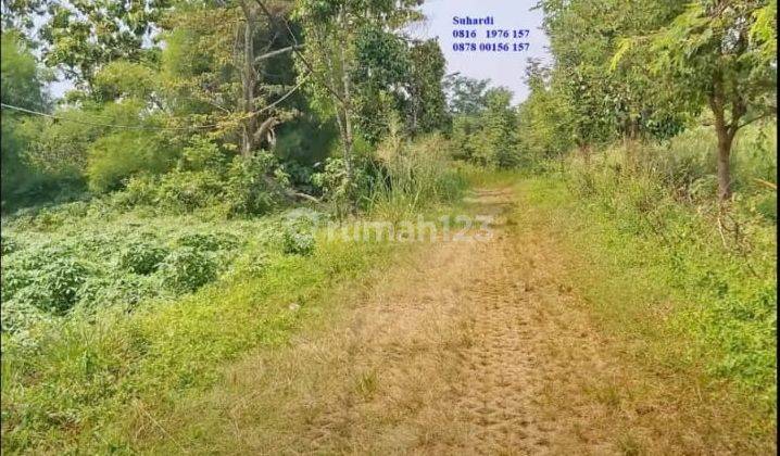 Tanah Kavling Rumah Kebon Dijual di Parung Hijau 2 Tajur Halang Bogor 2