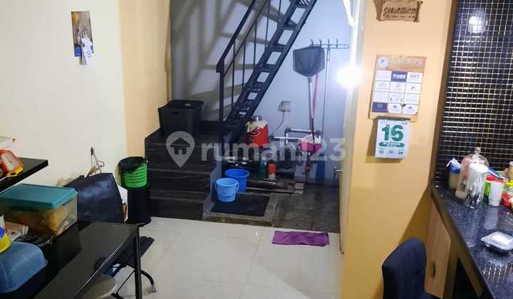 ******** Kelapa Puan Kelapa Gading 2