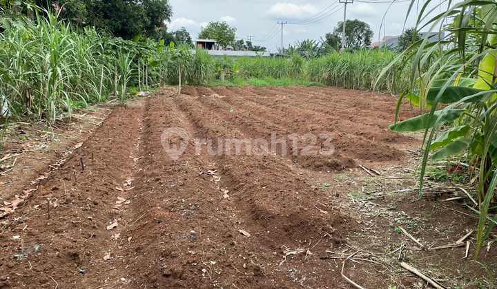 Jual Cepat Tanah Di Komplek KEMHAN Ciangsana Dekat Kota Wisata Cibubur 