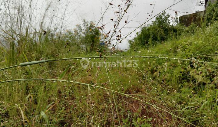 Tanah Kavling Murah Siap bangun Di Bojong Koneng Atas View Kota Bandung 