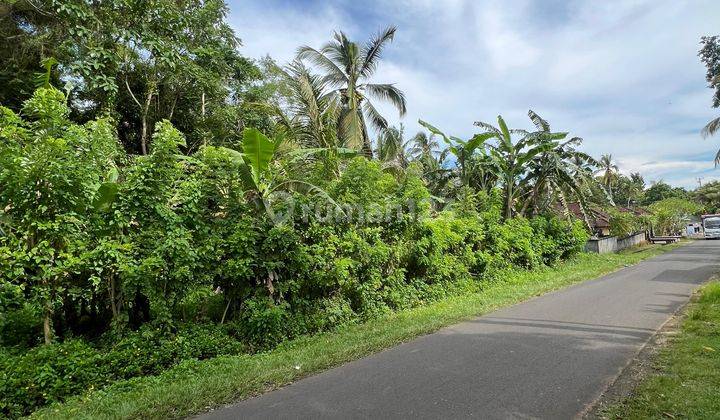 Mambang Tabanan Land 4,350m SHM Suitable for Building Small Housing 1