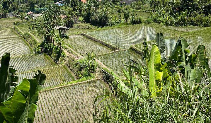 Tanah Dekat Kawasan Industri Cimareme Dekat Tol Padalarang 1