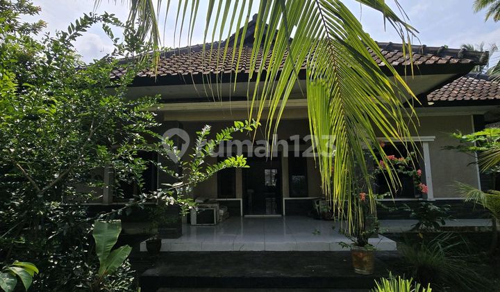 Wide 1000 House on Cijulang Main Road, Pangandaran