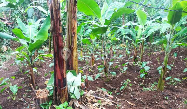 Dijual Tanah Di Dago Shm 163.0 M² Dekat Komplek Citra Green