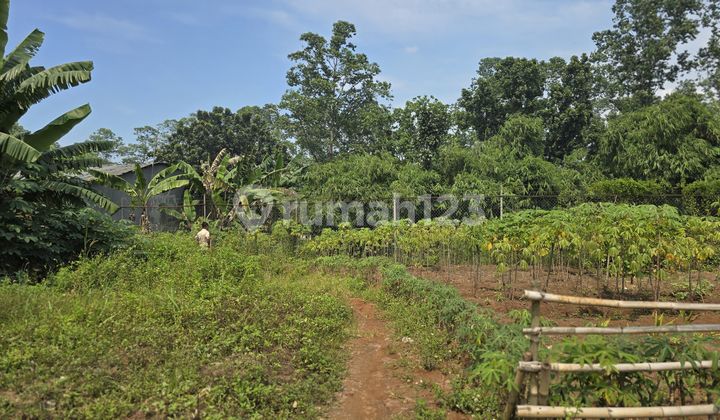 Industrial Land for Sale on Jalan Raya Pemda Tigaraksa