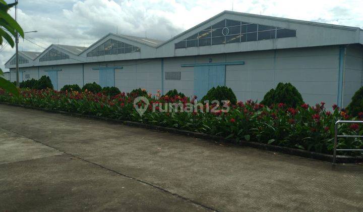 Disewakan Gudang Bagus 1ha Di Cikande Serang 2