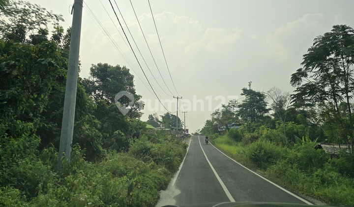 Dijual Tanah Kebun Cocok Buat Kandang Di Rangkasbitung Serang Dijual Tanah Kebun Cocok Buat Kandang Di Rangkasbitung Serang