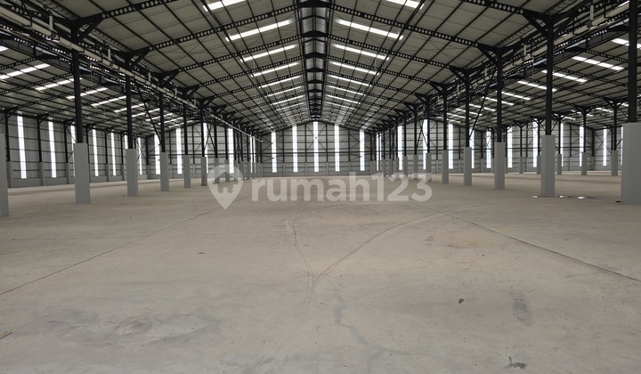 For Rent New Warehouse in Cikande Industrial Area