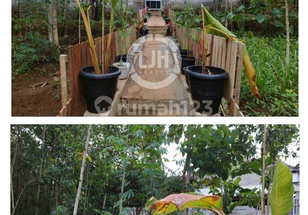 Dijual Tanah Cibugel Tamansari Sumedang Jawa barat 2