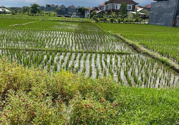 For Sale Land on Soekarno Hatta Main Road, Tabanan Bali
