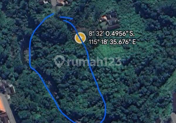 Land for Sale in Bitera, Gianyar, Bali, Suitable for Villas, Yellow Zone Area. Land for Sale in Bitera, Gianyar, Bali, Suitable for Villas, Yellow Zone Area.