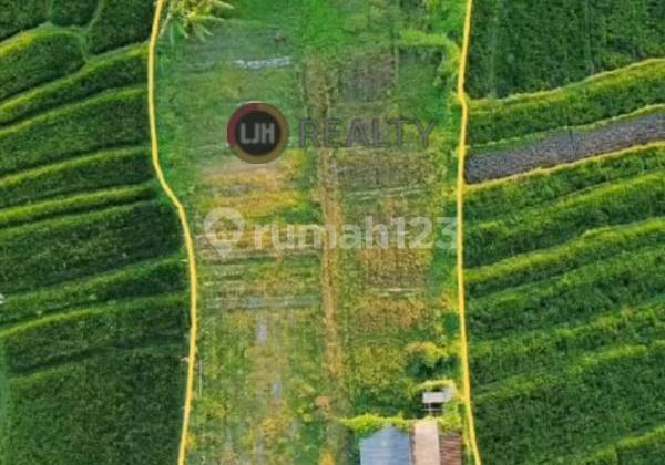 Dijual Tanah Munggu Badung Bali Dekat Pantai Munggu