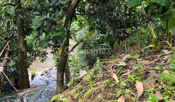 Kavling Yang Nyaman Di Tengah Kota Bogor 2