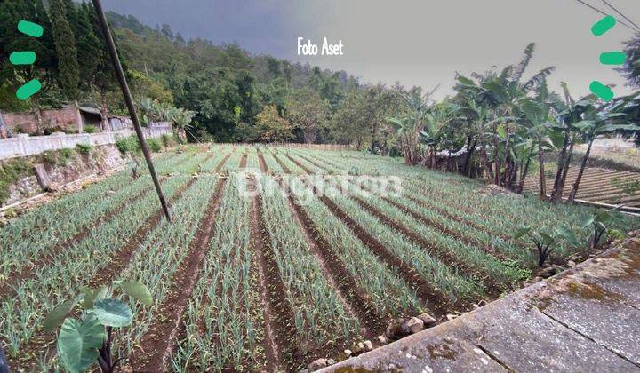 TANAH DI SARANGAN, COCOK BUAT HOTEL ATAU TEMPAT WISATA 1