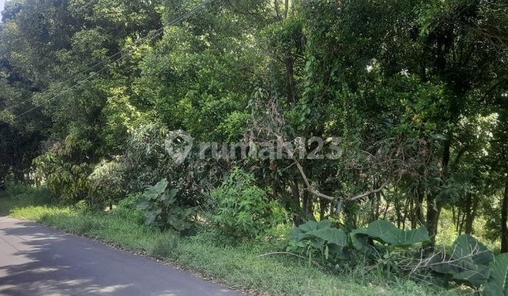 Tanah Matang Siap Bangun Lembang Bandung Barat Tanah Matang Siap Bangun Lembang Bandung Barat