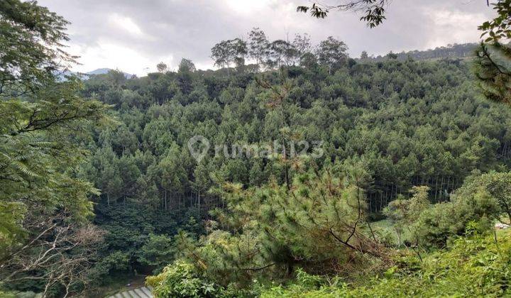 Tanah Cocok Untuk Villa Atau Mini Glamping Lembang 1