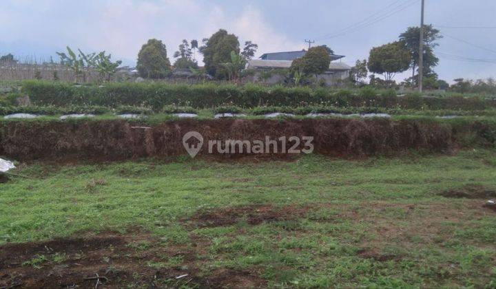 Tanah Matang Siap Bangun Cisarua Bandung Barat 1