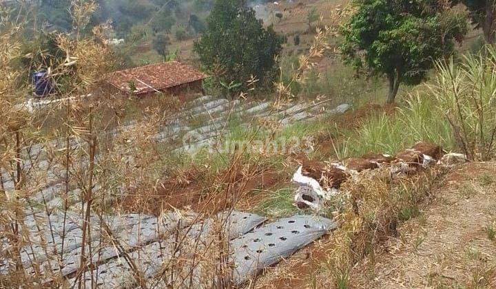 Tanah View Siap Bangun di Punclut Lembang  1