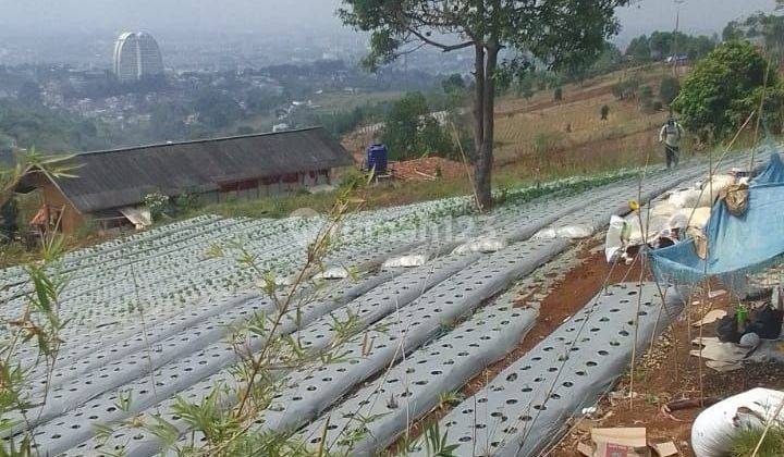 Tanah View Siap Bangun di Punclut Lembang  2