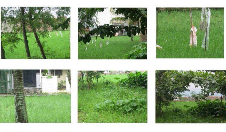 Tanah Sawah Baturaden Ciwastra Buahbatu  2