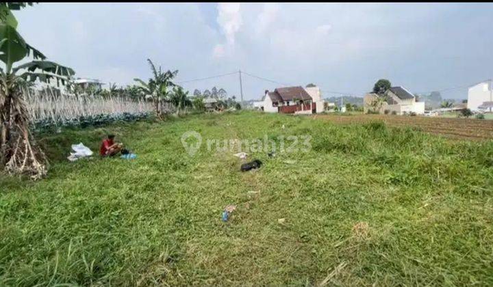  Tanah Matang Siap Bangun Cihanjuang Cimahi 
 2