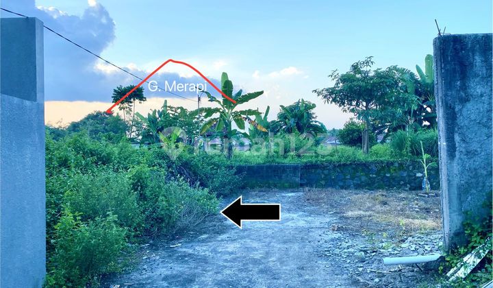 Tanah Cluster Pekarangan Lingkungan Asri Dekat Candi Prambanan