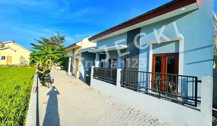 Dikontrakakan Rumah Depan Kantor Kecamatan Banguntapan View Sawah