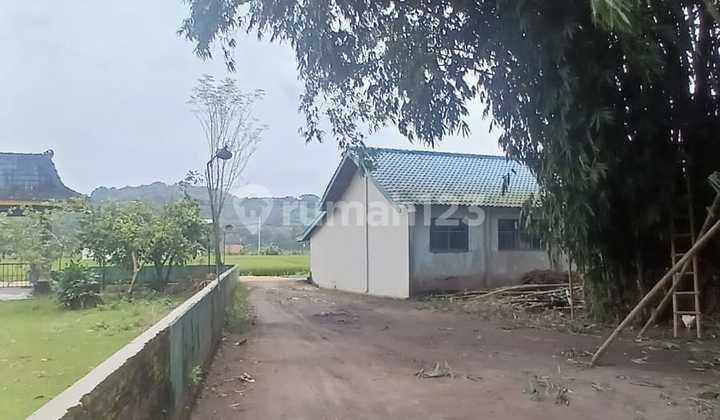 Tanah Pekarangan 100Jtan di Berbah Sleman View Sawah untuk Usaha Tanah Pekarangan 100Jtan di Berbah Sleman View Sawah untuk Usaha