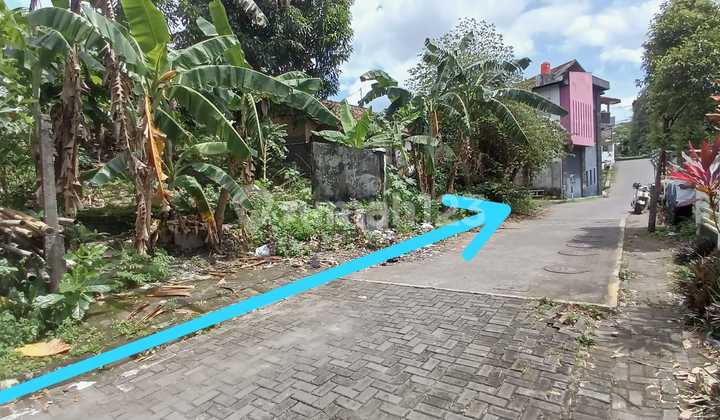 Tanah Pekarangan Area Seturan Akses Mobil Papasan Hanya 4Jt'an/M Tanah Pekarangan Area Seturan Akses Mobil Papasan Hanya 4Jt'an/M