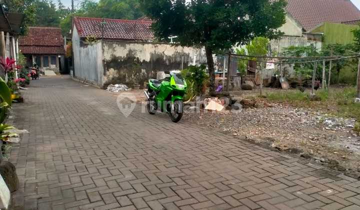 Tanah Pekarangan Murah 400Jtan di Jalan Damai 10Menit Ugm