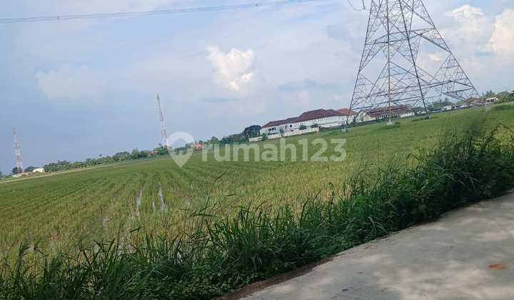 Disewakan Lahan Sawah Seluas 8500 M² Di Tambun Utara, Kabupaten Bekasi Disewakan Lahan Sawah Seluas 8500 M² Di Tambun Utara, Kabupaten Bekasi