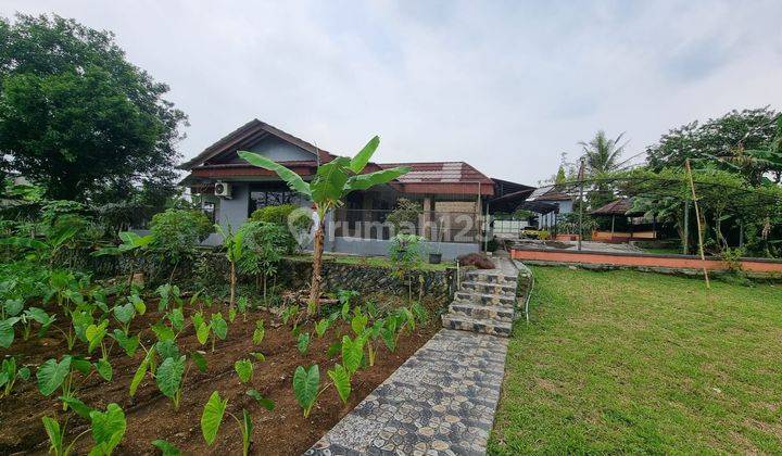 Villa Dan Tanah Luas 1 Hektar di Bogor Ada Air Terjun Nya 2