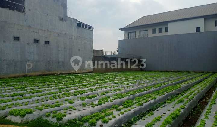 Dijual Kavling Tanah Setiabudi Regency 904m2 Dijual Kavling Tanah Setiabudi Regency 904m2