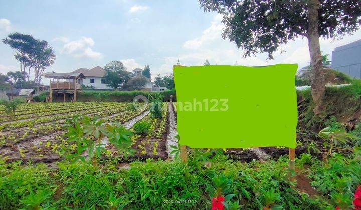 Dijual Kavling Tanah Setiabudi Regency 500m2 1