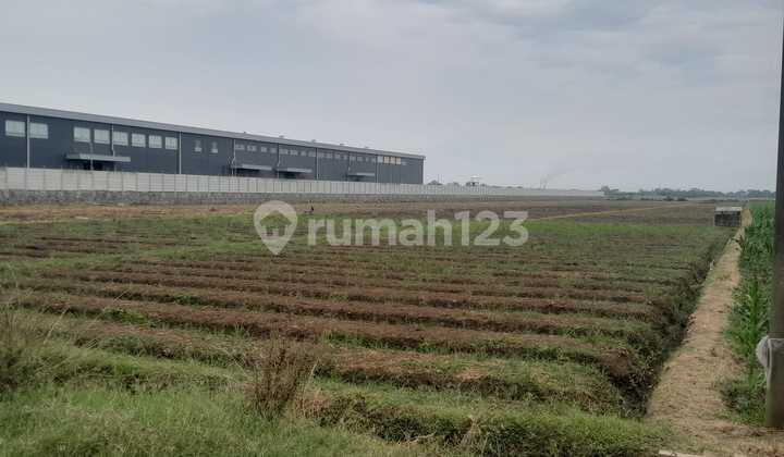 Jual Cepat Tanah Cirebon Lahan Industri Strategis 1,5JT/m2