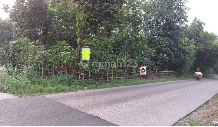 Tanah Kebun Luas Strategis Dekat Stasiun Krl Status SHM di Tenjo