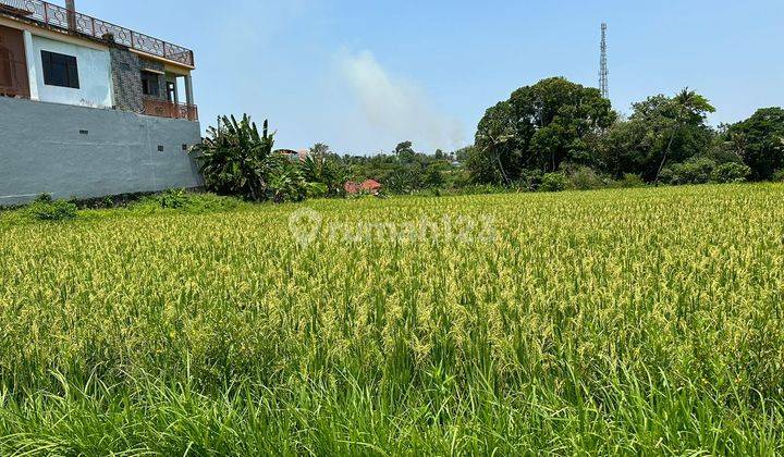 Tanah 1190.0 M²di Pantai Nyanyi Dekat Tanah Lot Ev 1