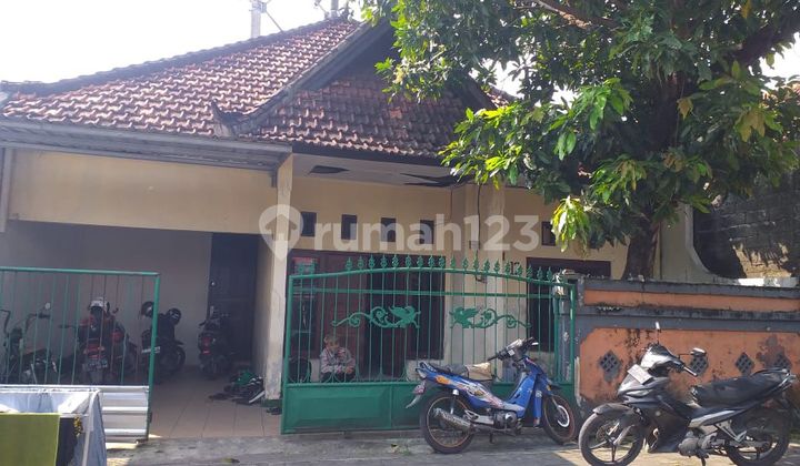 Rumah Siap Huni 4 Kamar Di Denpasar Barat Gp Rumah Siap Huni 4 Kamar Di Denpasar Barat Gp