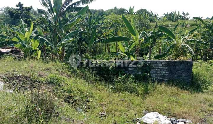 25 Acres of Land in Kaba Kaba Near Canggu 25 Acres of Land in Kaba Kaba Near Canggu