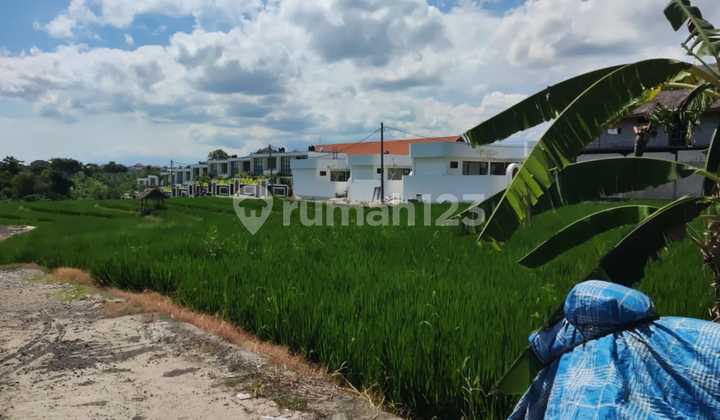 For Rent 31 Are Land Suitable for Villa in Pererenan Ev