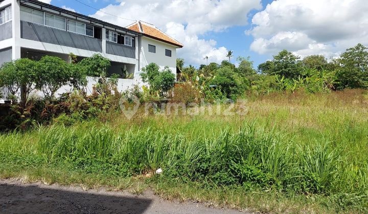 35 Are Freehold Land in the Villa Kerobokan Gp Area.