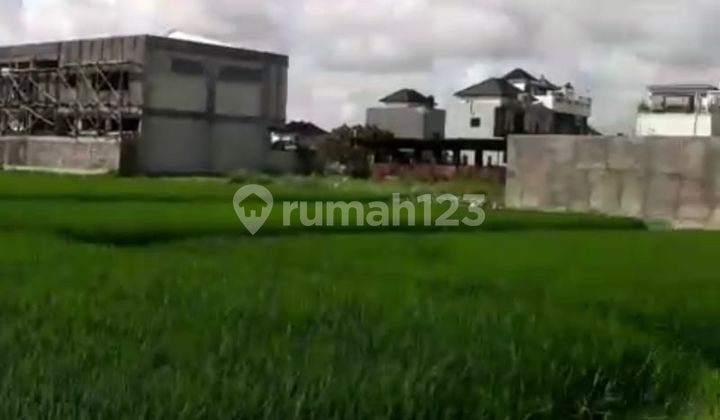 Tanah 12 Are SHM Zona Kuning di Pura Demak Denpasar Gp
