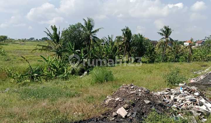 25 Acres of Land in Kaba Kaba Near Canggu 25 Acres of Land in Kaba Kaba Near Canggu