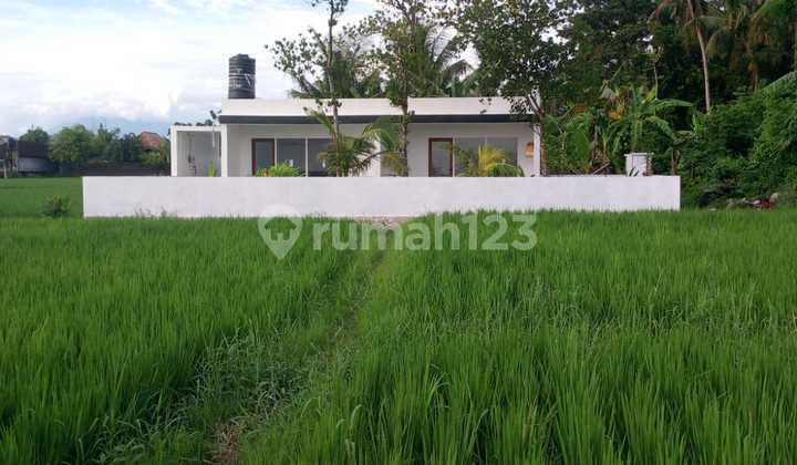 Ready-to-Occupy 2-Bedroom Villa with Rice Field View Near Kedungu Beach Bg