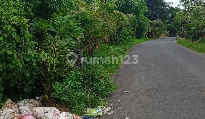 Tanah 4100.0 M² Di Bypass Ida Bagus Mantra It