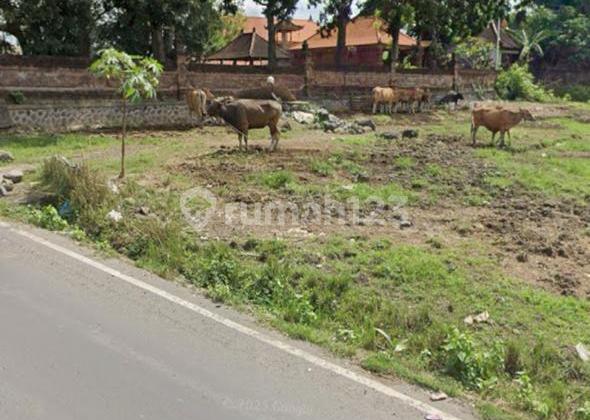 Tanah 2115.0 M² Shm Itr Kuning Di Pererenan It Tanah 2115.0 M² Shm Itr Kuning Di Pererenan It