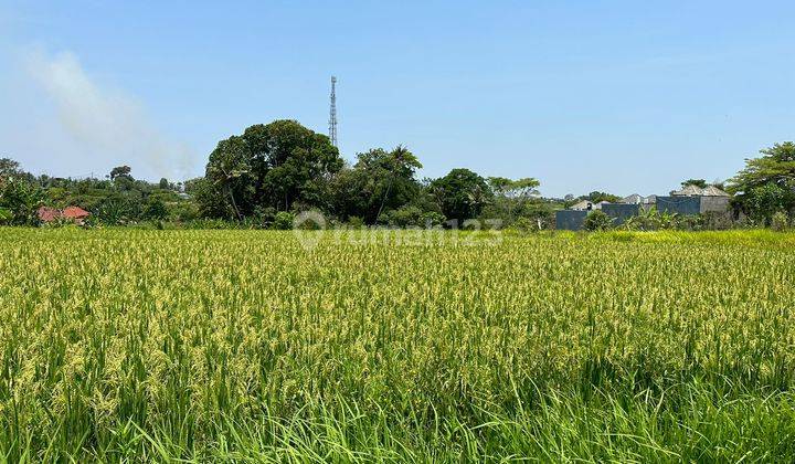 Tanah 1190.0 M²di Pantai Nyanyi Dekat Tanah Lot Ev 2