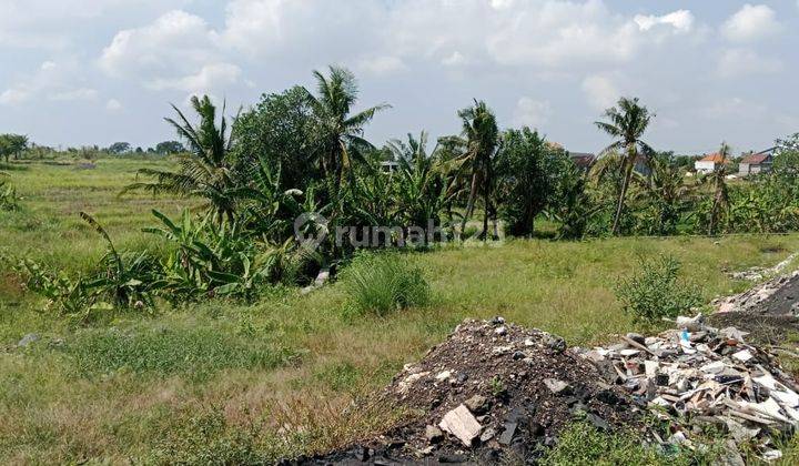 Disewakan Tanah 25 Are View Sawah Cocok Untuk Villa Di Kaba Kaba Ob 2