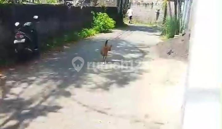 Disewakan Tanah 1500.0 M² Di Kawasan Villa Sanur Cn